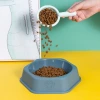 Dog bowls, dog basins, cat bowls, cat food basins, dog anti-knock single bowls, cat and small and medium-sized dog automatic drinking water, pet supplies Application Scenario